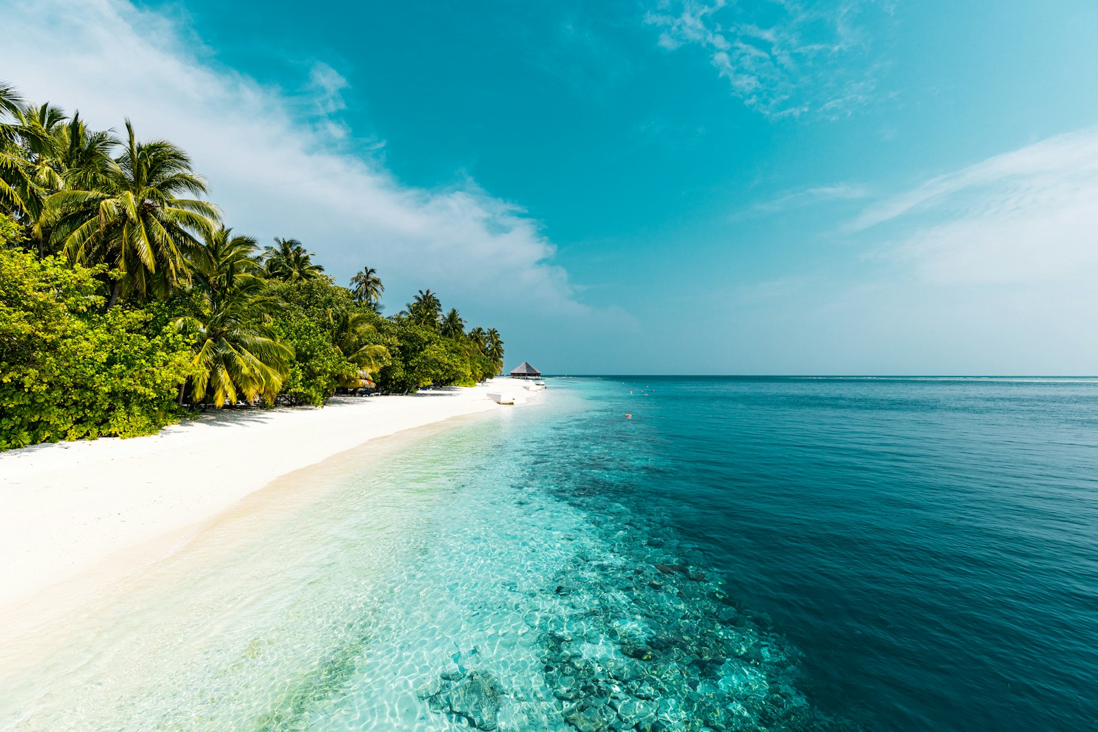 Image hover effect image