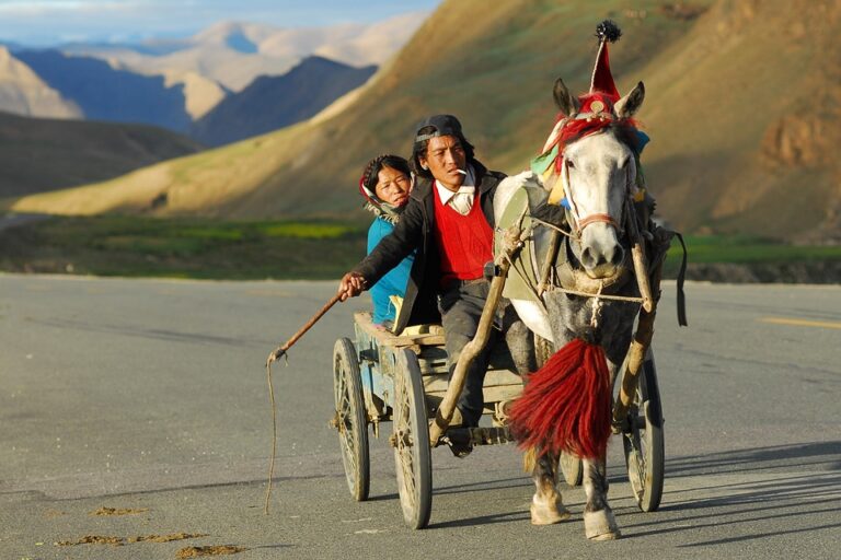 travel